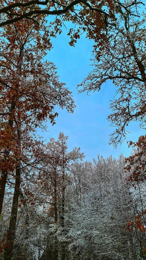 Het Boshuisje In Durbuy Βίλα Εξωτερικό φωτογραφία